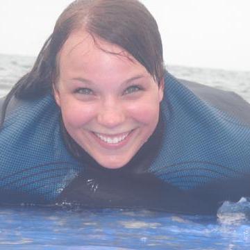 Surfing board rental