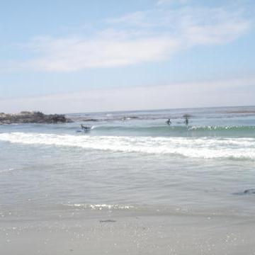 Big Surfing Adventures