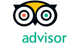 tripadvisor